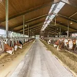 Eberlhof Daire *