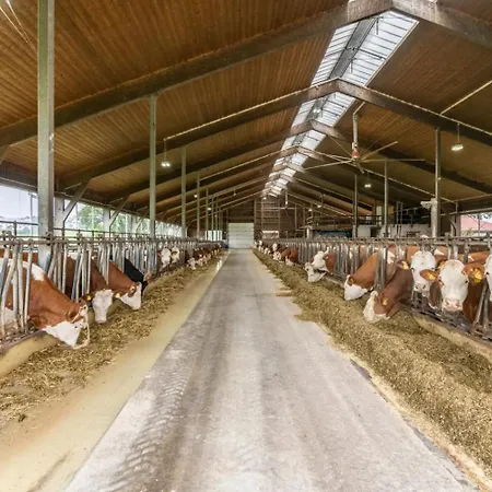 Eberlhof Appartamento *