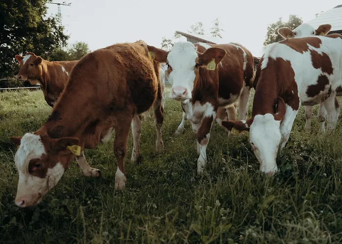 Appartement Eberlhof Schechen