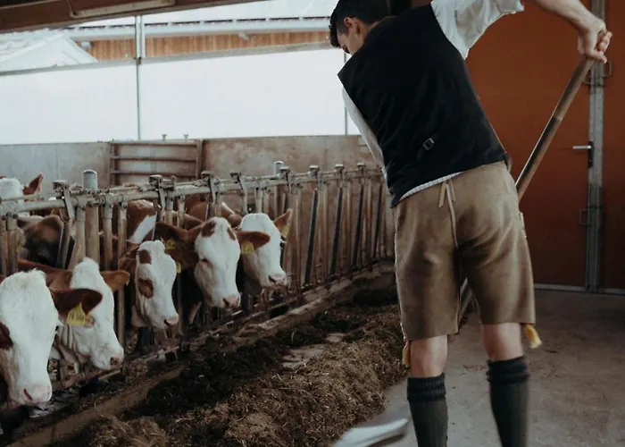 Eberlhof Appartement Schechen