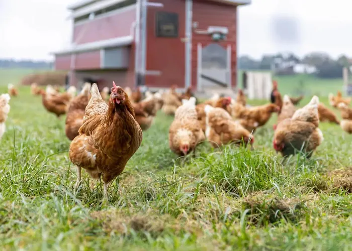 Appartement Eberlhof Schechen