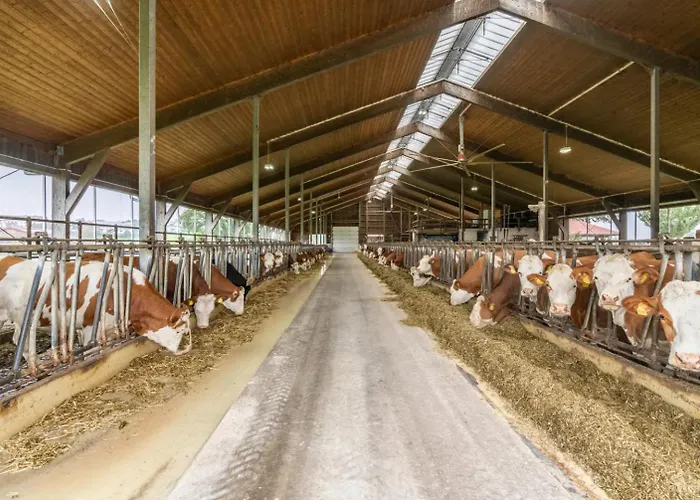 Eberlhof Appartement *